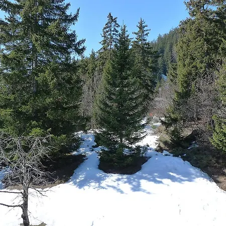 Apartment Le Tsaumiau IV Crans-Montana